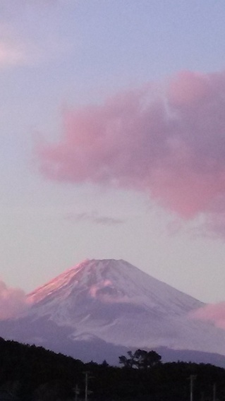 IMG02653.jpg