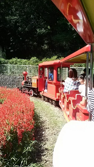 IMG00337.jpg