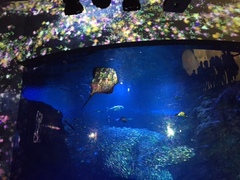 新江ノ島水族館