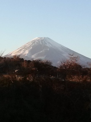 IMG02501.jpg