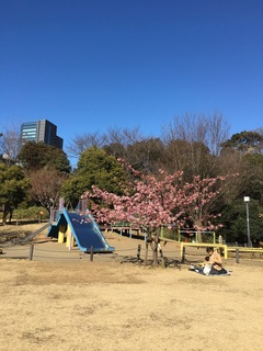 公園