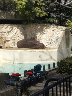 上野動物園