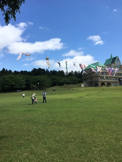 こいのぼり