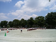体育祭