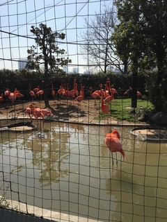 上野動物園