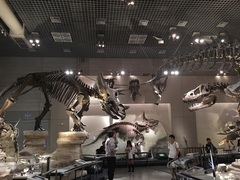 国立科学博物館