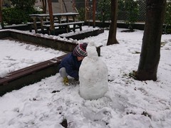 季節外れの雪